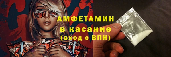 гидра Ельня