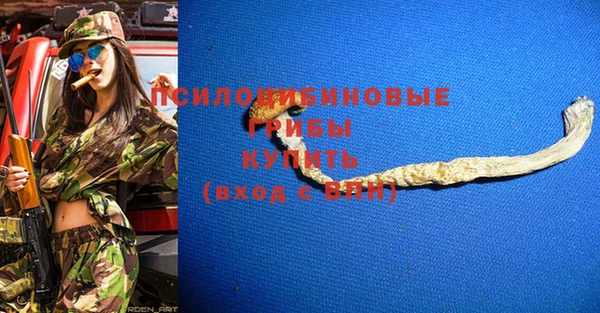прущая мука Анива
