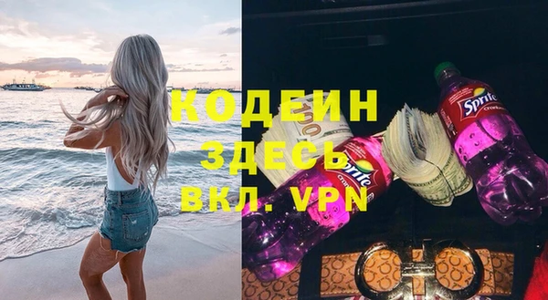 гидра Ельня