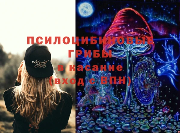 твердый Дмитриев