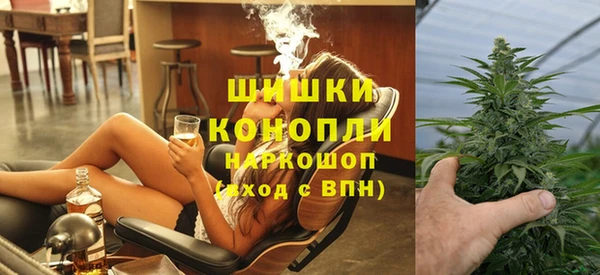 твердый Дмитриев