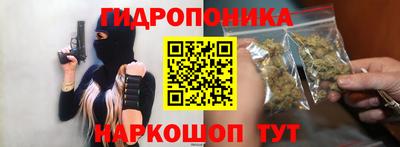 стаф Краснодар
