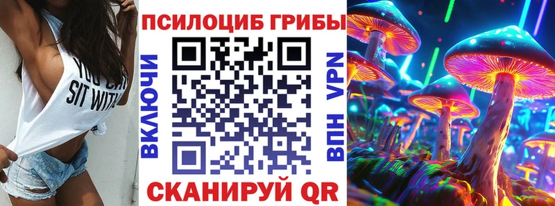 магазин  наркотиков  Железноводск  Псилоцибиновые грибы Psilocybine cubensis 