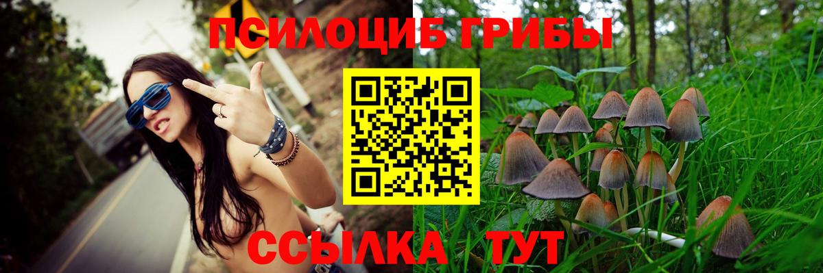 Железноводск  Псилоцибиновые грибы MAGIC MUSHROOMS  как найти   Вход с VPN 