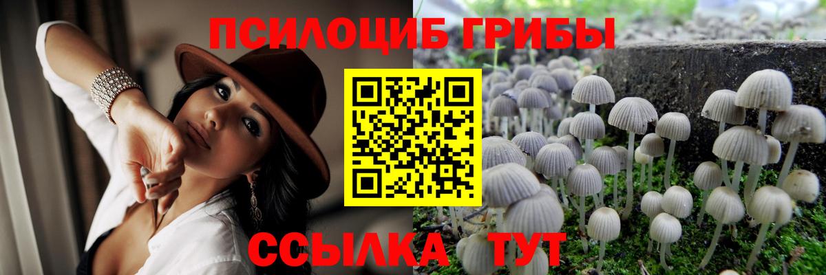 Галлюциногенные грибы мицелий Железноводск